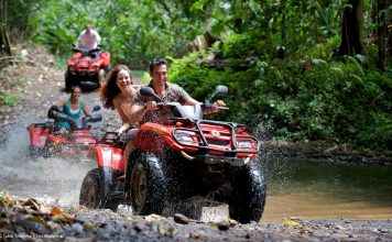 ATV-QUADS – Cea mai bună ofertă de ATV-uri ATV-uri de vanzare