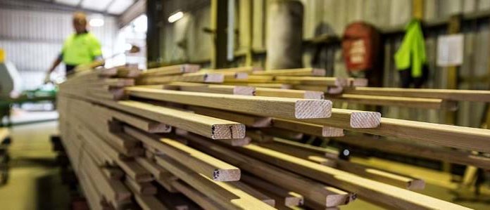 Dingotrans Târgu Ocna – Producător local de tâmplărie din lemn stratificat