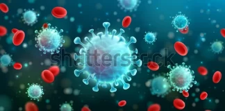 Testare Covid-19: Importanța prevenției infectării cu virusul Testare Covid-19: Importanța prevenției infectării cu virusul
