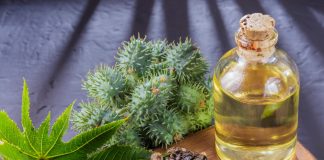 Cum se extrage uleiul de ricin și care sunt întrebuințările acestuia? Cum se extrage uleiul de ricin și care sunt întrebuințările acestuia?