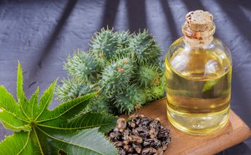Cum se extrage uleiul de ricin și care sunt întrebuințările acestuia? Cum se extrage uleiul de ricin și care sunt întrebuințările acestuia?