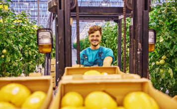 Cultivarea legumelor exotice: oportunități pentru fermieri Cultivarea legumelor exotice: oportunități pentru fermieri