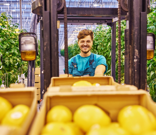 Cultivarea legumelor exotice: oportunități pentru fermieri Cultivarea legumelor exotice: oportunități pentru fermieri