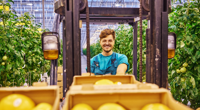 Cultivarea legumelor exotice: oportunități pentru fermieri Cultivarea legumelor exotice: oportunități pentru fermieri