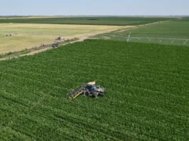 Fermierii contestă scăderea subvenției APIA: de la 58 la 20 euro/ha, în timp ce MADR vorbește despre „1000 euro/ha” Fermierii contestă scăderea subvenției APIA de la 58 la 20 euroha, în timp ce MADR vorbește despre „1000 euroha”