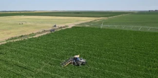 Fermierii contestă scăderea subvenției APIA: de la 58 la 20 euro/ha, în timp ce MADR vorbește despre „1000 euro/ha” Fermierii contestă scăderea subvenției APIA de la 58 la 20 euroha, în timp ce MADR vorbește despre „1000 euroha”